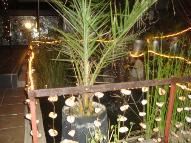 44 On Ennis Guest Lodge And Restaurant - No Load Sheddding إرميلو المظهر الخارجي الصورة