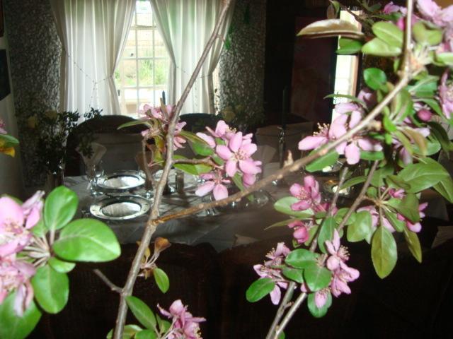 44 On Ennis Guest Lodge And Restaurant - No Load Sheddding إرميلو المظهر الخارجي الصورة