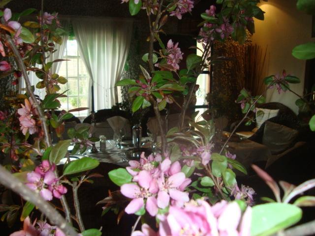 44 On Ennis Guest Lodge And Restaurant - No Load Sheddding إرميلو المظهر الخارجي الصورة